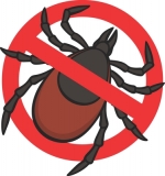 DO TICKS DIE IN THE WINTER WHEN IT GET’S COLD?