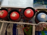 Frozen Kibble Kong