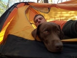 HOW TO PREPARE MY DOG FOR AN OVERNIGHT CAMPING TRIP 🐕🏕💤
